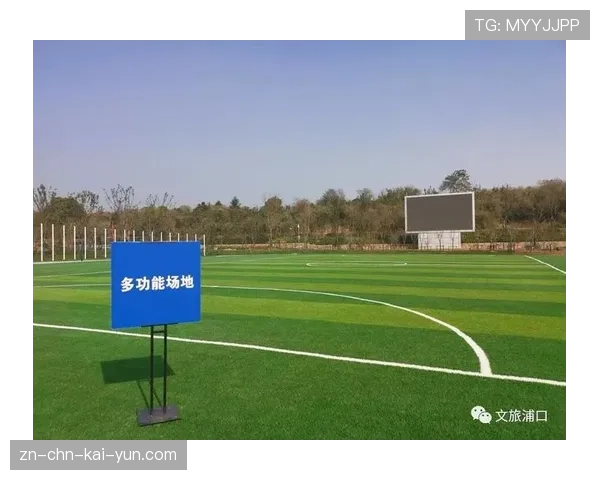 球场绿色证书申请流程与材料清单，标准篮球场绿色多少面积